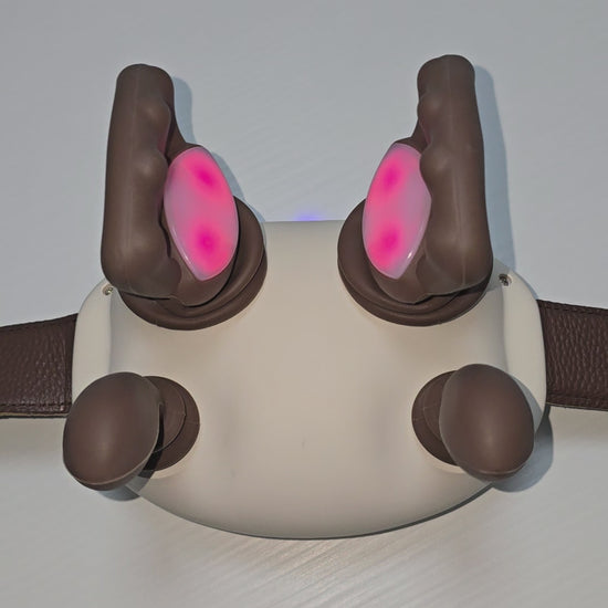 Protusolve ThermoPress